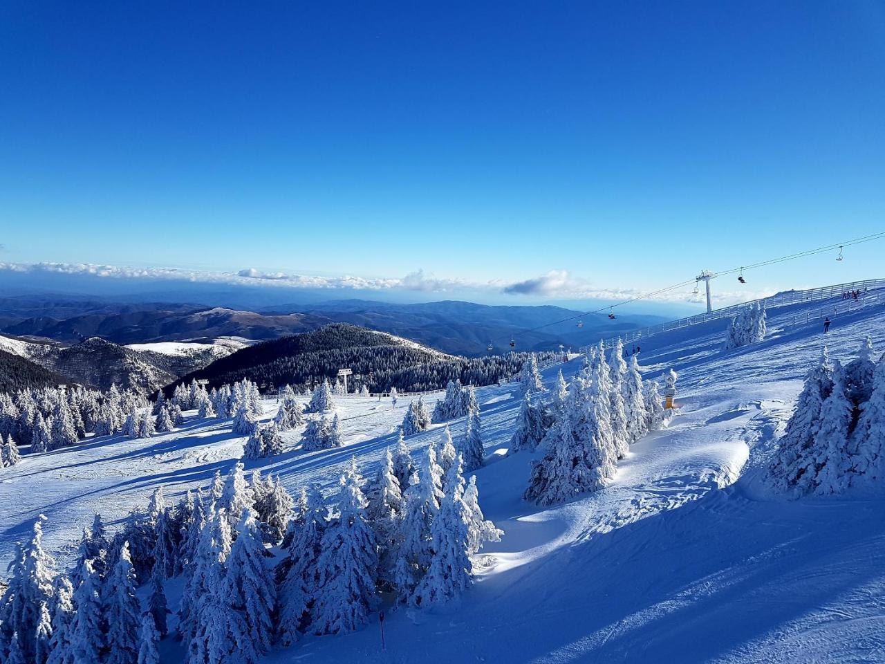 Milmari M18 Kopaonik 아파트 외부 사진